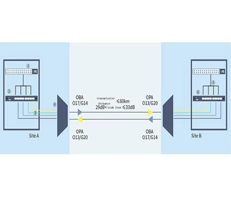 Hvordan bruges DWDM til 40G langdistancenetværksoverføring?