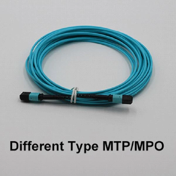 Forskellig type MTP/MPO